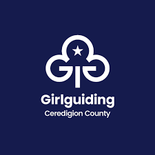 Girlguiding Ceredigion County First Response Training
