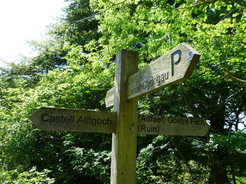Longwood Trails - Llwybrau Longwood