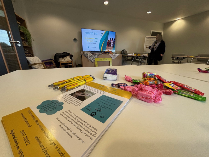 Supporting children and young people training