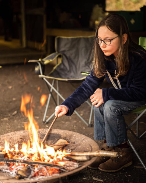Book an activity session with Tir Coed - Connecting people with land and woods!