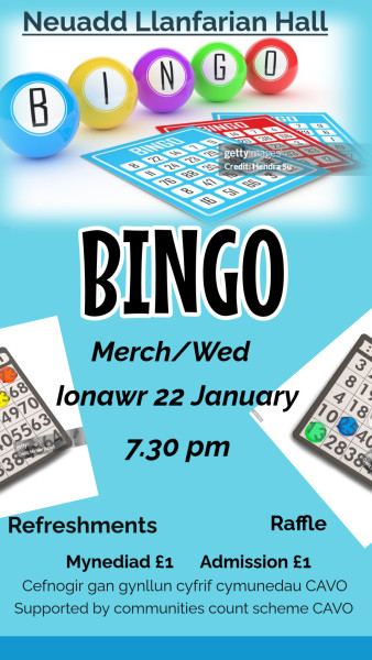 Bingo Evening