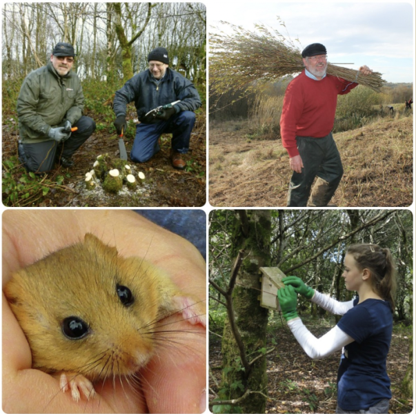 Conservation Volunteer Days at Denmark Farm Conservation Centre