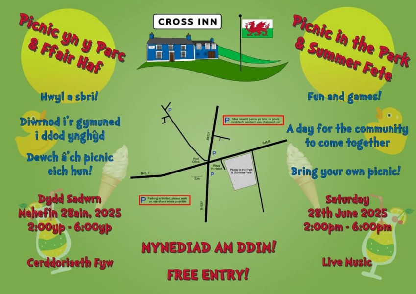 Cross Inn Picnic in the Park & Summer Fete