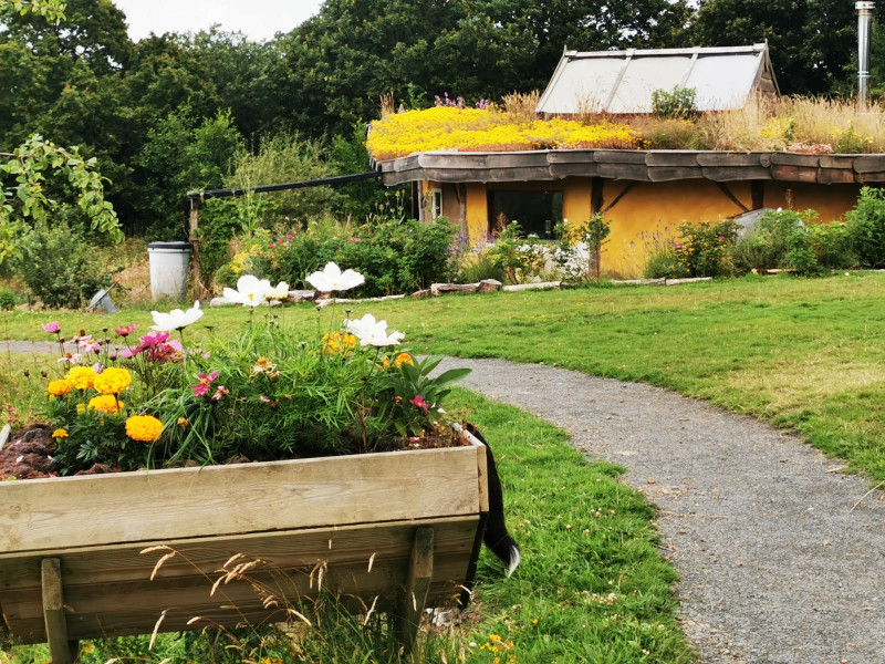 Visit or volunteer at Naturewise Community Forest Garden every Tuesday 10-4pm.
