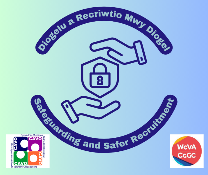Diogelu a Recriwtio Mwy Diogel / Safeguarding and Safer Recruitment
You have manage