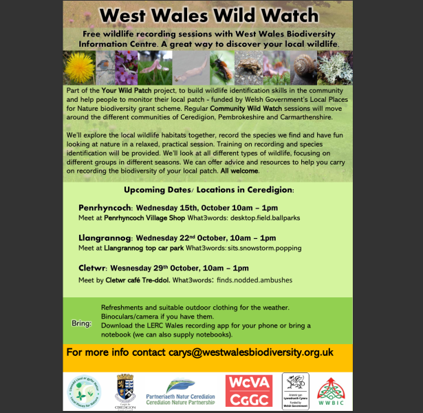 West Wales Wild Watch