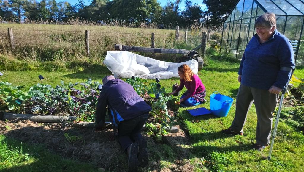 Volunteer at a nature reserve