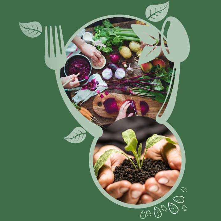 Aberystwyth food connections